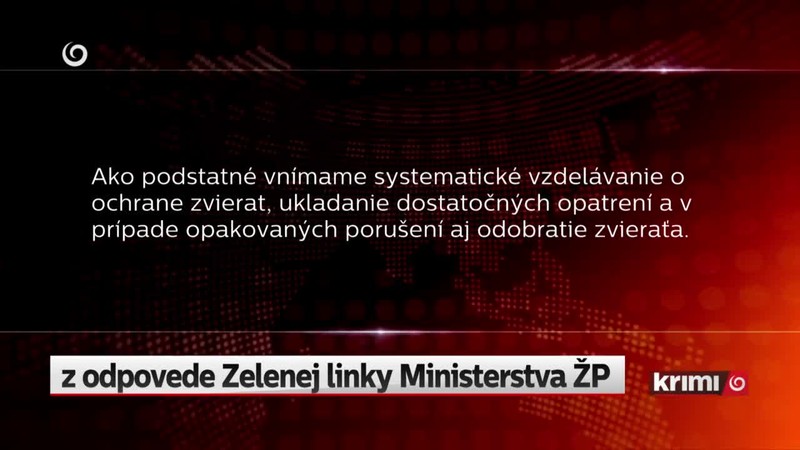 Zanedbaný psík na reťazi