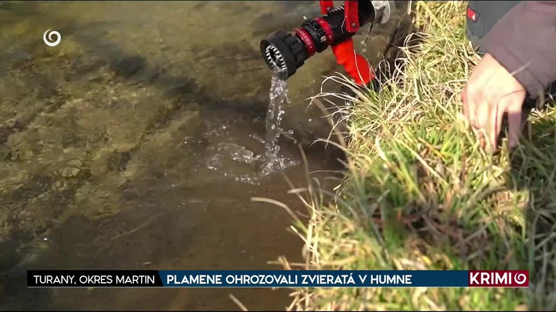 PLAMENE OHROZOVALI ZVIERATÁ V HUMNE