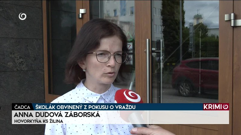 ŠKOLÁK OBVINENÝ Z POKUSU O VRAŽDU