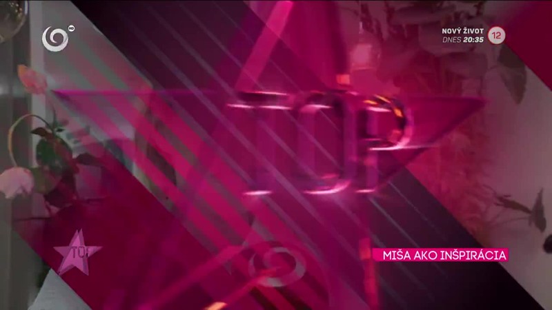 MIŠA AKO INŠPIRÁCIA