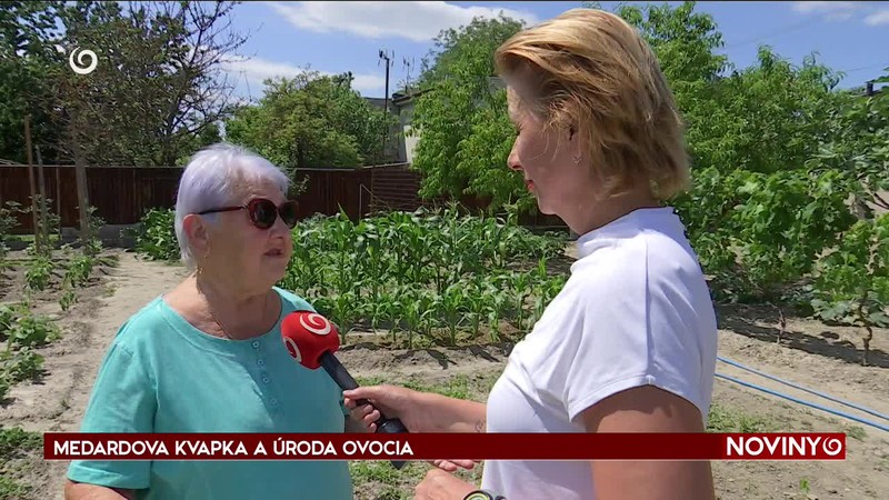 MEDARDOVA KVAPKA A ÚRODA OVOCIA