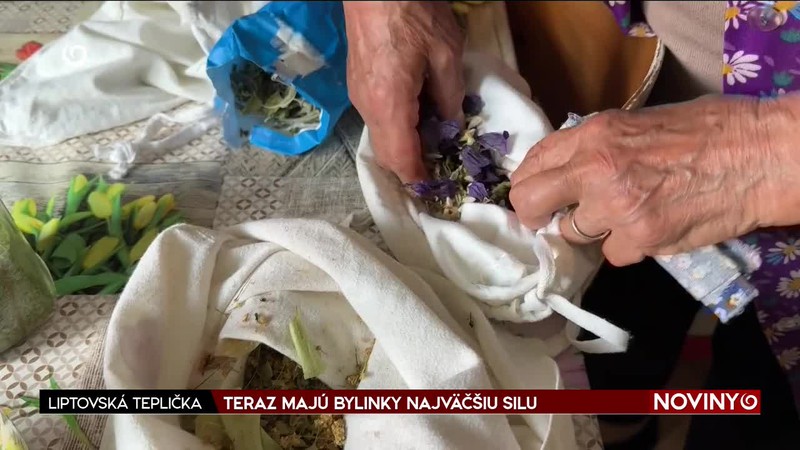 TERAZ MAJÚ BYLINKY NAJVÄČŠIU SILU