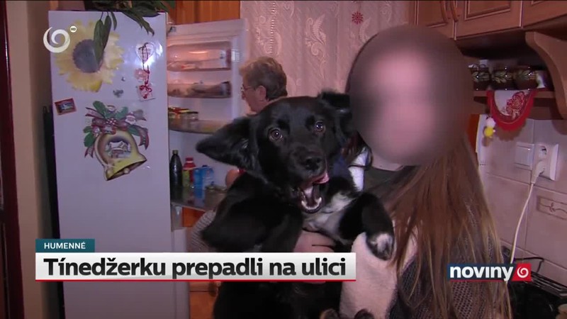 Tínedžerku prepadli na ulici