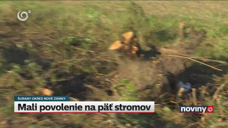 Mali povolenie na päť stromov