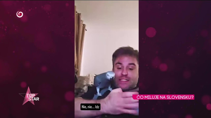 ČO MILUJE NA SLOVENSKU?