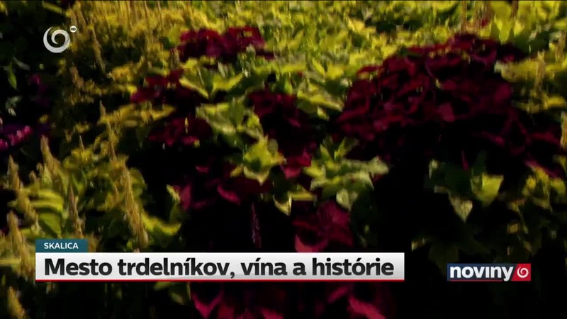 Mesto trdelníkov, vína a histórie