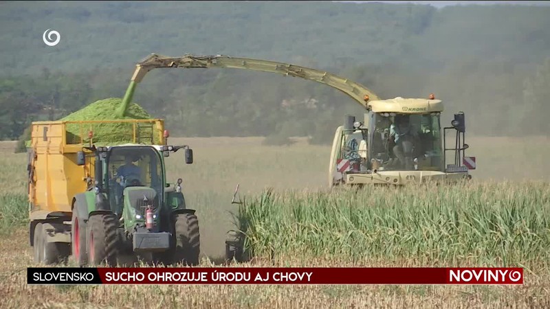 SUCHO OHROZUJE ÚRODU AJ CHOVY