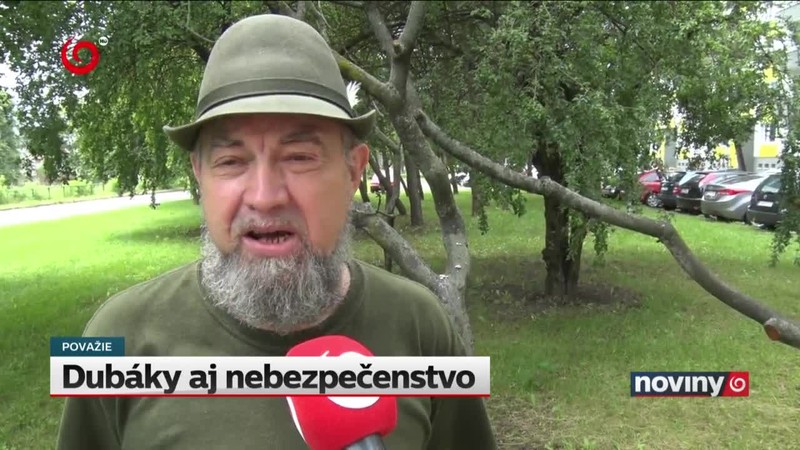 Dubáky aj nebezpečenstvo