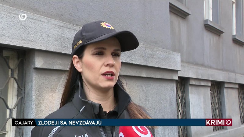 ZLODEJI SA NEVZDÁVAJÚ