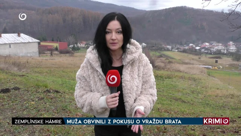 MUŽA OBVINILI Z POKUSU O VRAŽDU BRATA