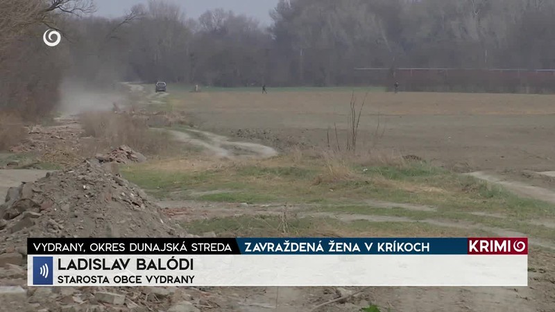 ZAVRAŽDENÁ ŽENA V KRÍKOCH