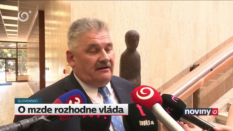 O mzde rozhodne vláda