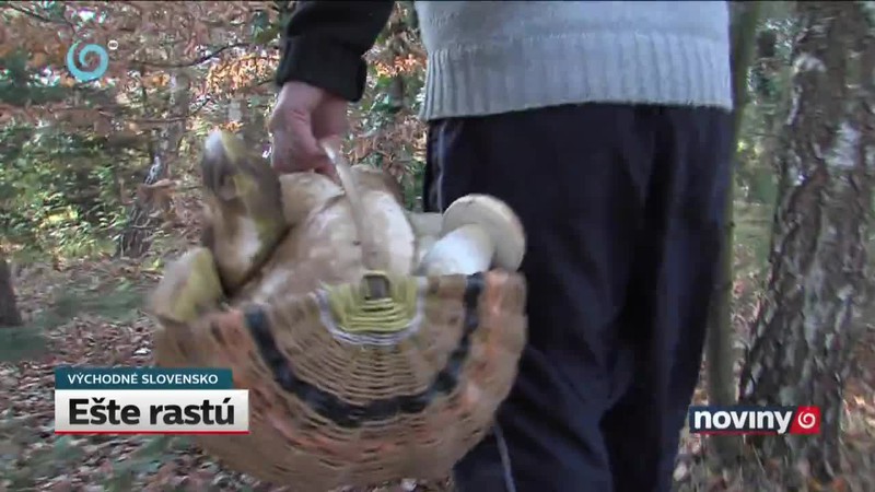 Ešte rastú