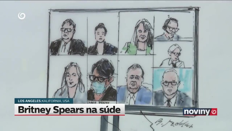 Britney Spears na súde