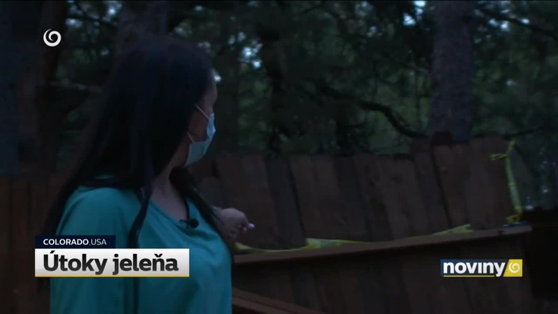 Útoky jeleňa