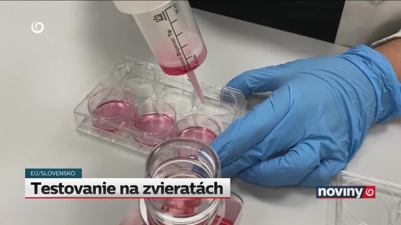 Testovanie na zvieratách