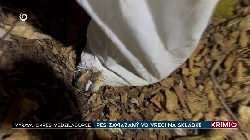 PES ZAVIAZANÝ VO VRECI NA SKLÁDKE