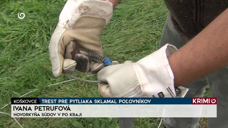TREST PRE PYTLIAKA SKLAMAL POĽOVNÍKOV