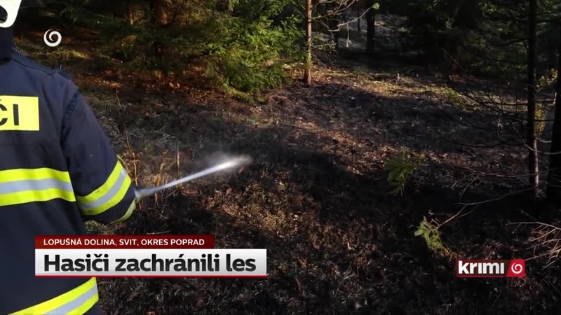 Hasiči zachránili les