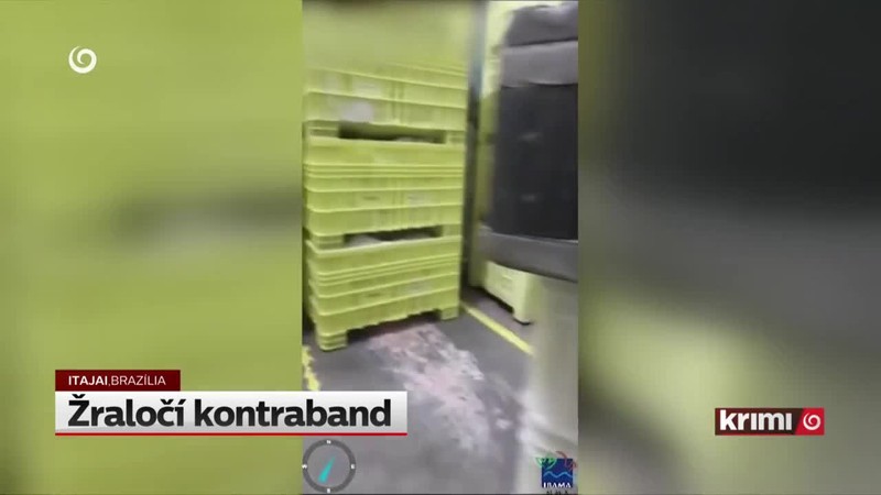 Žraločí kontraband
