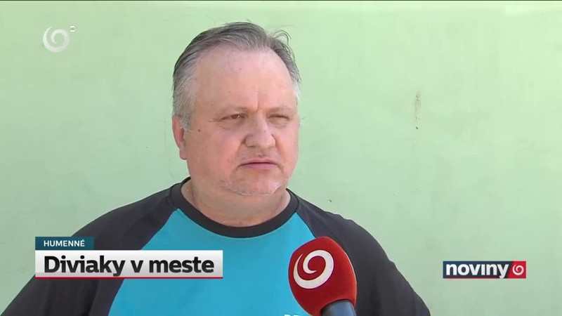 Diviaky v meste