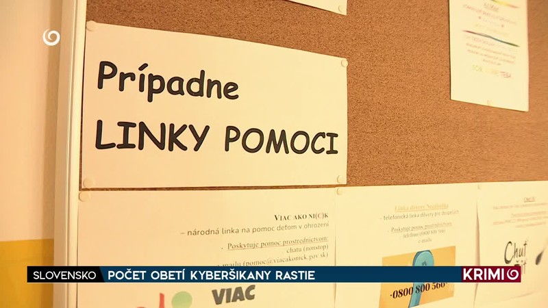 POČET OBETÍ KYBERŠIKANY RASTIE