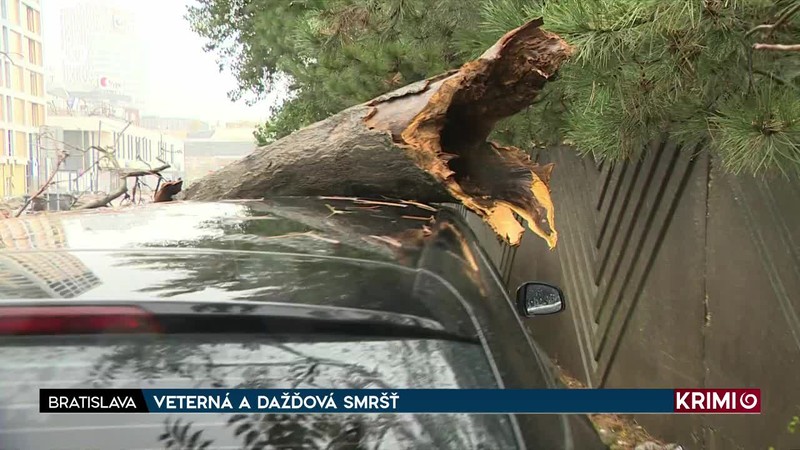 VETERNÁ A DAŽĎOVÁ SMRŠŤ