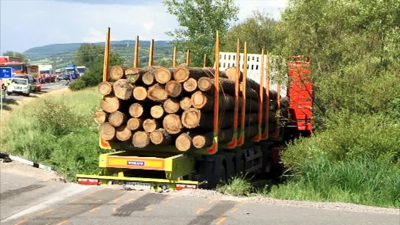Súd s vodičom