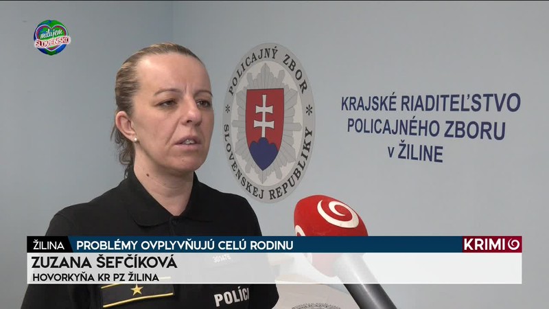 PROBLÉMY OVPLYVŇUJÚ CELÚ RODINU