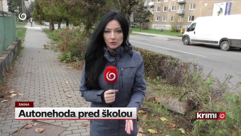 Autonehoda pred školou