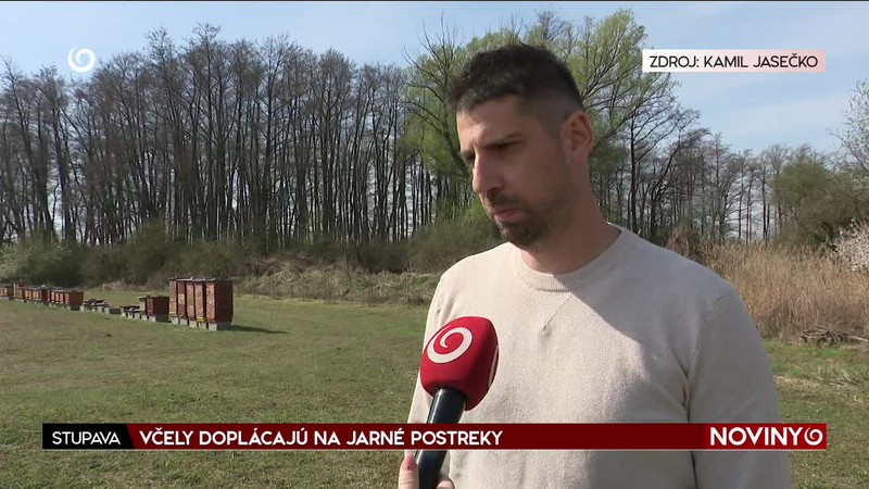 VČELY DOPLÁCAJÚ NA JARNÉ POSTREKY