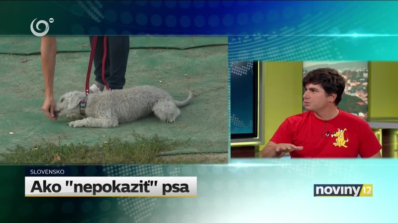 Ako "nepokaziť" psa