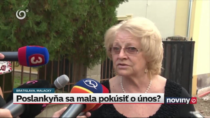 Poslankyňa sa mala pokúsiť o únos?