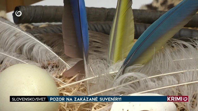POZOR NA ZAKÁZANÉ SUVENÍRY!