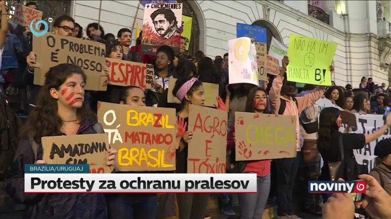 Protesty za ochranu pralesov