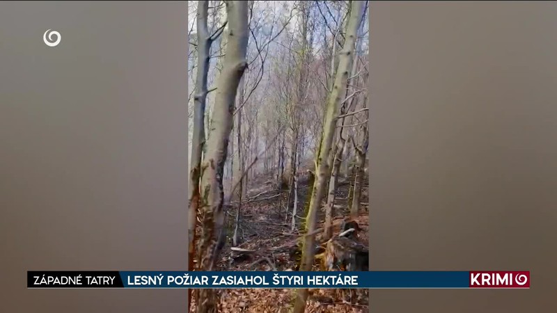 LESNÝ POŽIAR ZASIAHOL ŠTYRI HEKTÁRE