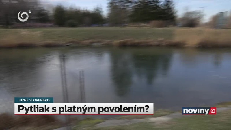 Pytliak s platným povolením?