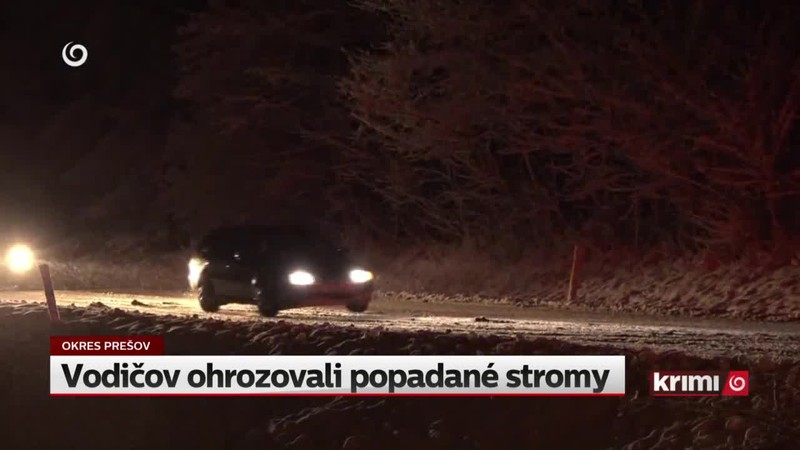 Vodičov ohrozovali popadané stromy