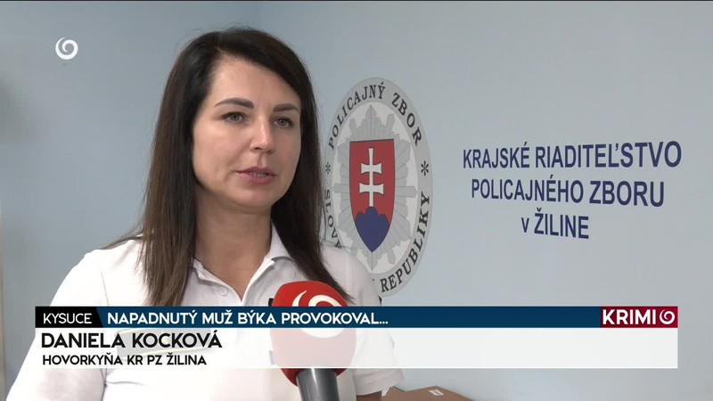 NAPADNUTÝ MUŽ BÝKA PROVOKOVAL...