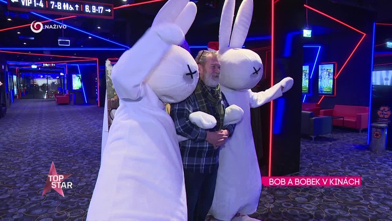 Bob a Bobek v kinách