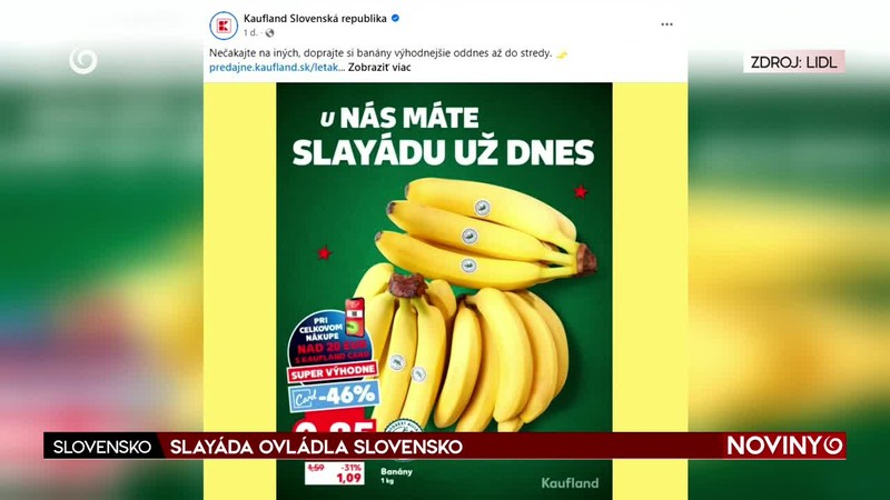SLAYÁDA OVLÁDLA SLOVENSKO