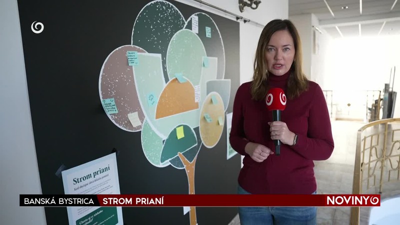 STROM PRIANÍ