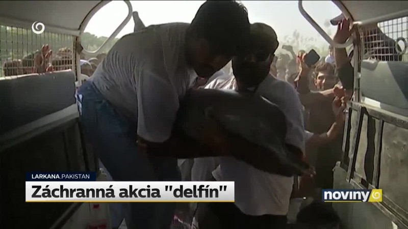 Záchranná akcia "delfín"