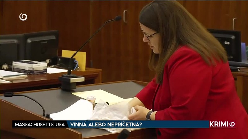 VINNÁ ALEBO NEPRÍČETNÁ?