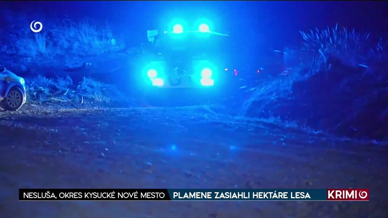 PLAMENE ZASIAHLI HEKTÁRE LESA