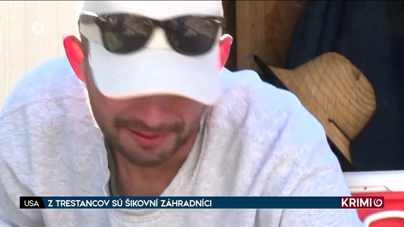 Z TRESTANCOV SÚ ŠIKOVNÍ ZÁHRADNÍCI