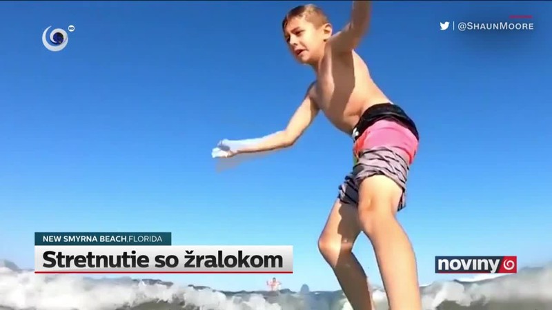 Stretnutie so žralokom
