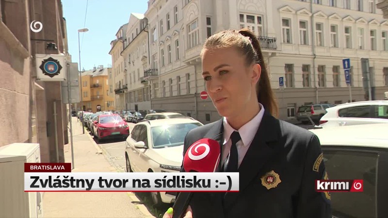 Zvláštny tvor na sídlisku :-)