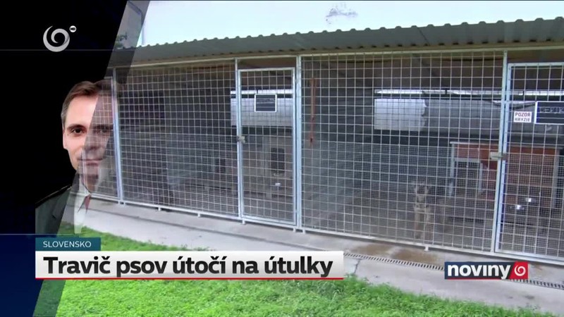 Travič psov útočí na útulky