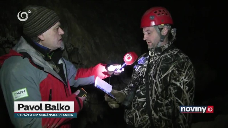 Spočítavanie netopierov